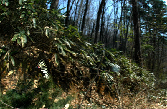 f0090680_22432895.jpg