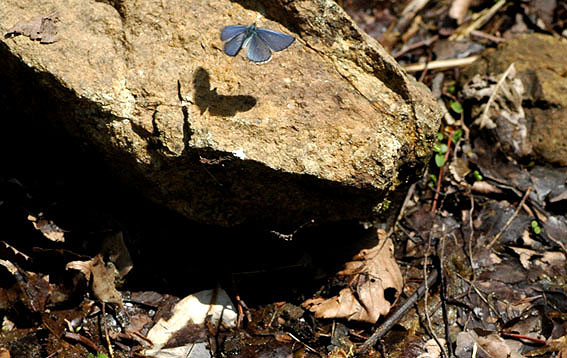 f0090680_2245025.jpg