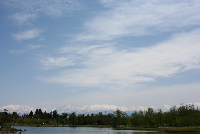 a0067201_9462770.jpg