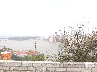 f0021504_1782315.jpg