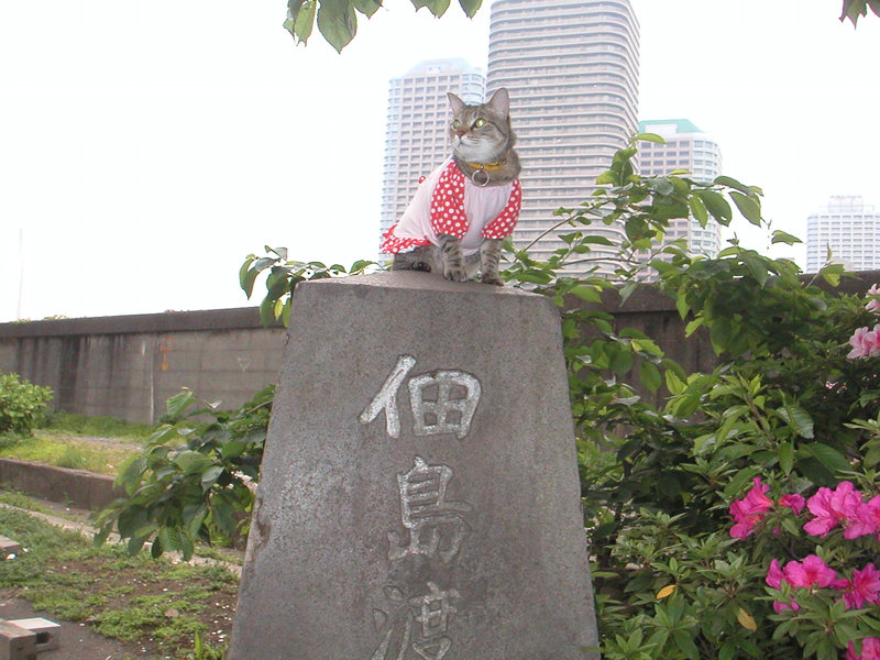 e0031605_0564935.jpg
