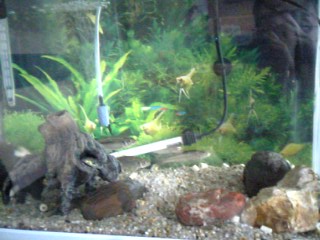 f0034007_20103859.jpg