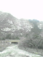 b0036608_1951171.jpg