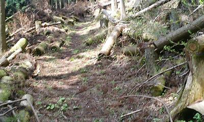 b0051713_20131681.jpg
