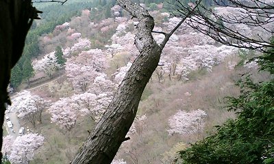 b0051713_2017346.jpg
