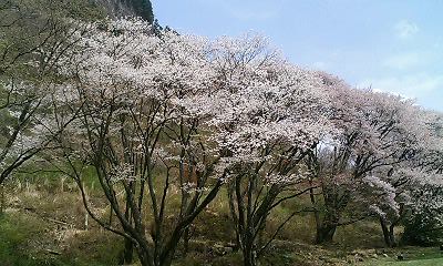b0051713_20241567.jpg