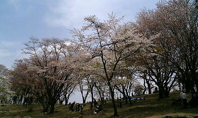 b0051713_202553.jpg