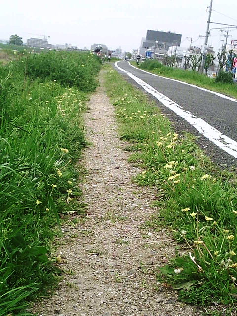 f0079723_10334393.jpg