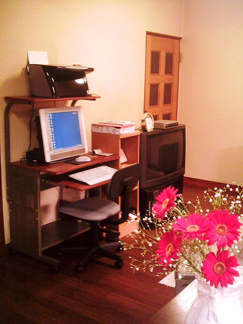 f0079723_11333871.jpg