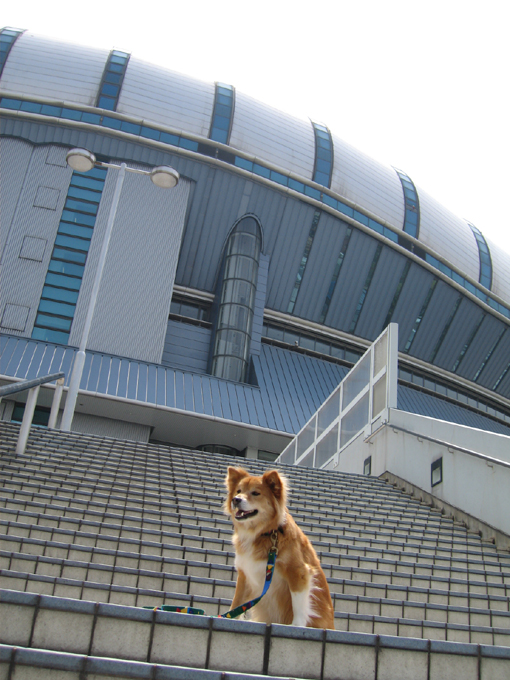 c0030624_19315290.jpg