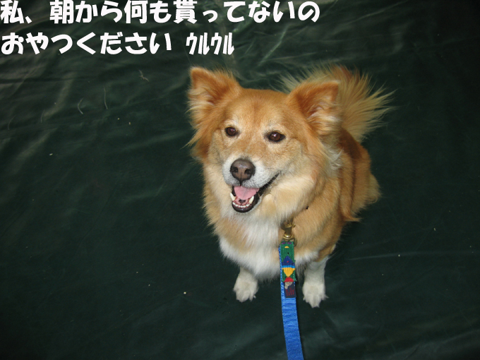 c0030624_1955972.jpg