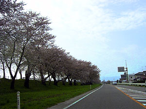 b0044726_916158.jpg