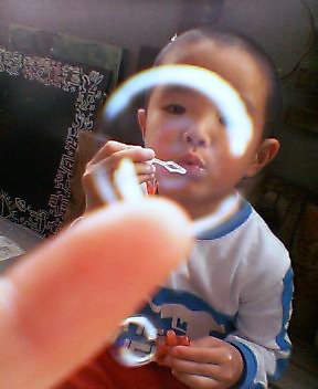 d0018131_3433837.jpg