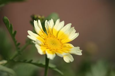 d0029333_2221364.jpg
