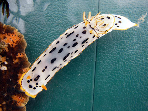 e0041143_13141162.jpg