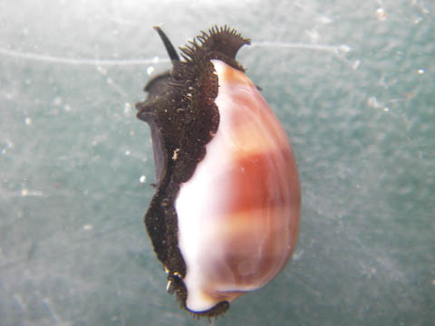 e0041143_13152953.jpg