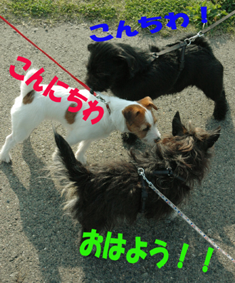 f0035044_2127814.jpg