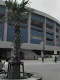 d0036951_13552223.jpg