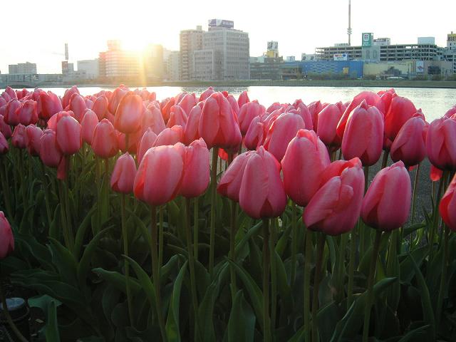 e0029451_20101725.jpg
