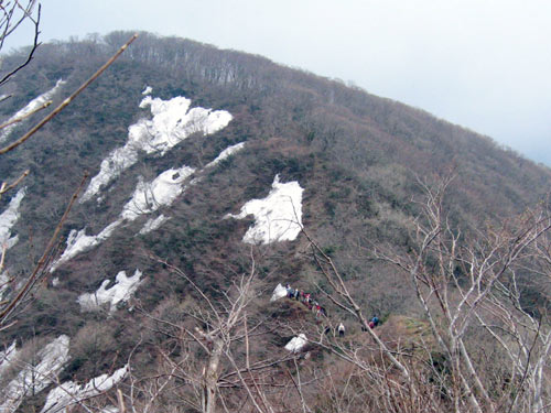 f0007956_134531.jpg