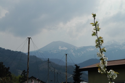 c0032257_22125575.jpg