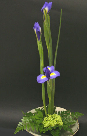 f0077357_1593086.jpg