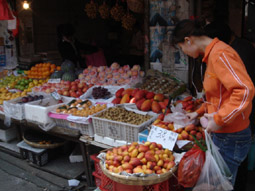 b0072758_2259270.jpg