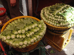 b0072758_2324252.jpg