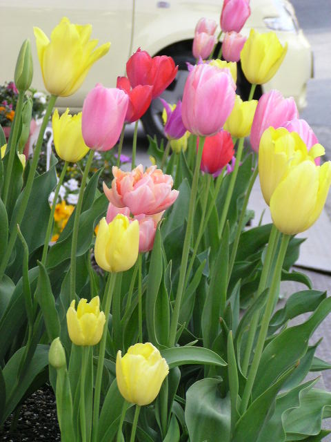 f0074659_2224596.jpg
