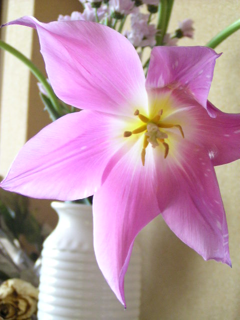 f0074659_2263087.jpg