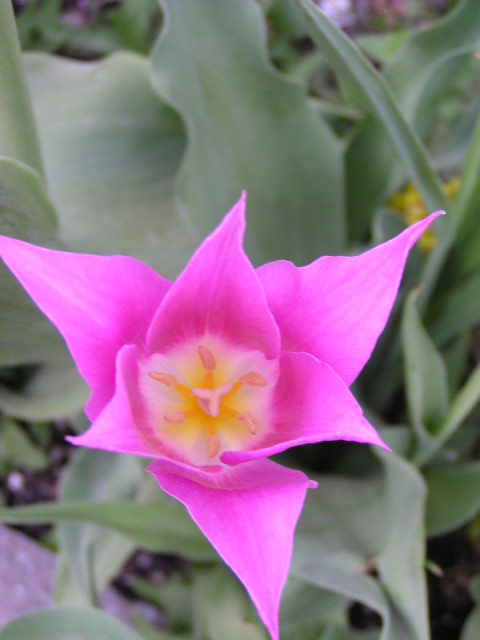 f0074659_2295457.jpg
