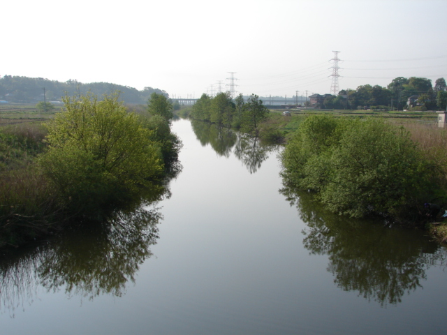 b0061261_2014356.jpg