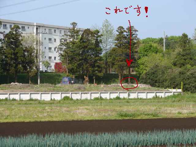 b0061261_20241142.jpg