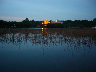 d0045179_3274310.jpg