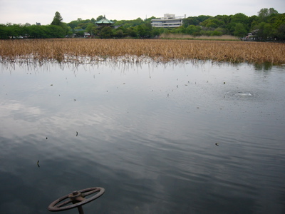 d0045179_328944.jpg