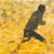c0032580_2110214.gif