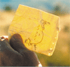c0032580_21103791.gif