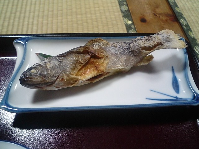 f0051283_2338642.jpg