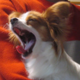 f0035288_22354130.jpg