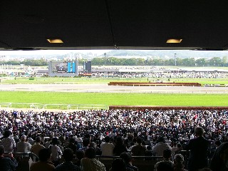 f0079289_2324384.jpg