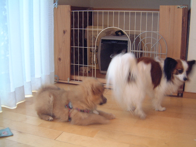 e0002891_0134267.jpg