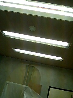 c0060693_21131114.jpg
