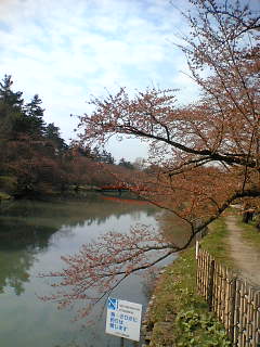 c0034396_21591223.jpg