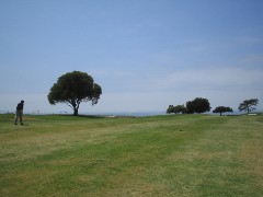 b0043897_10183230.jpg