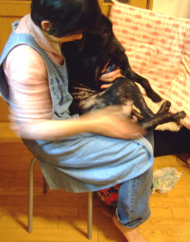 f0001698_1442948.jpg