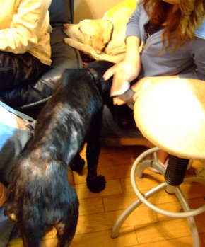 f0001698_14453110.jpg
