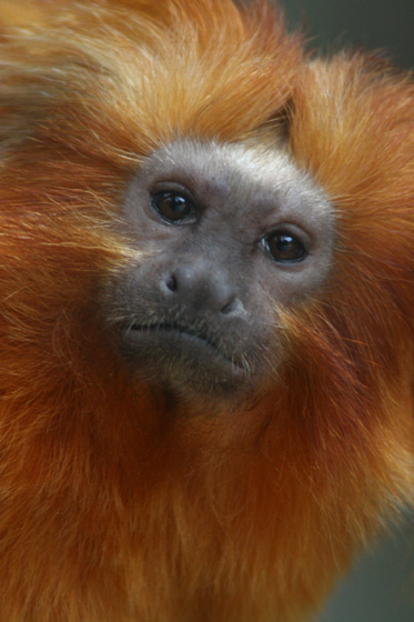 b0016600_39623.jpg