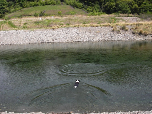 f0034602_20405592.jpg