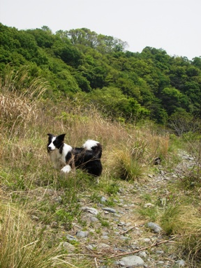 f0034602_20412779.jpg