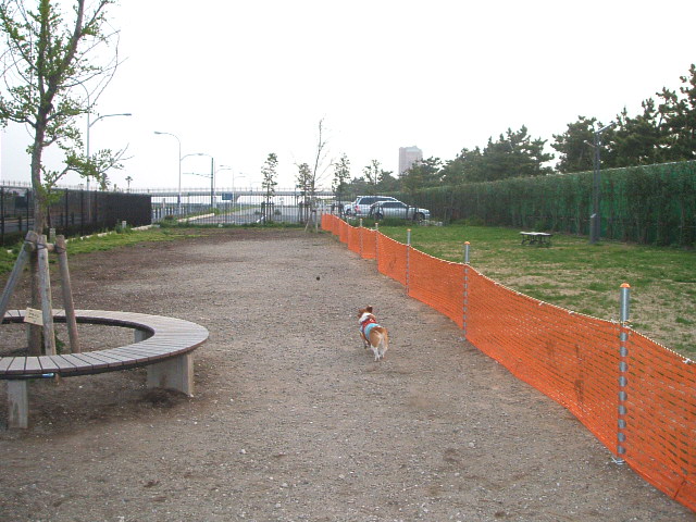 a0024004_18341063.jpg